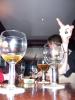 img011.jpeg.small.jpeg