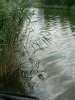img024.jpeg.small.jpeg