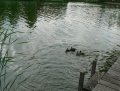 img026.jpeg.small.jpeg
