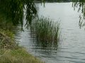 img027.jpeg.small.jpeg
