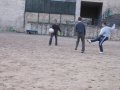 img009.jpeg.small.jpeg