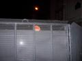 img011.jpeg.small.jpeg